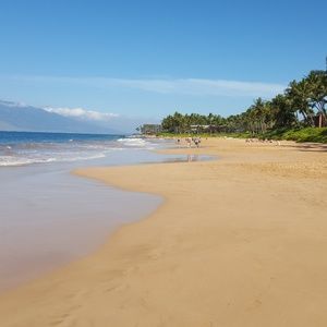 Meet your Posher, Simone